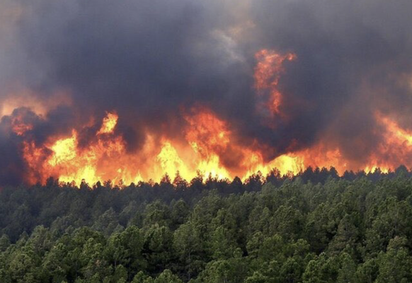 Brand Hyrakische Wälder Iran
