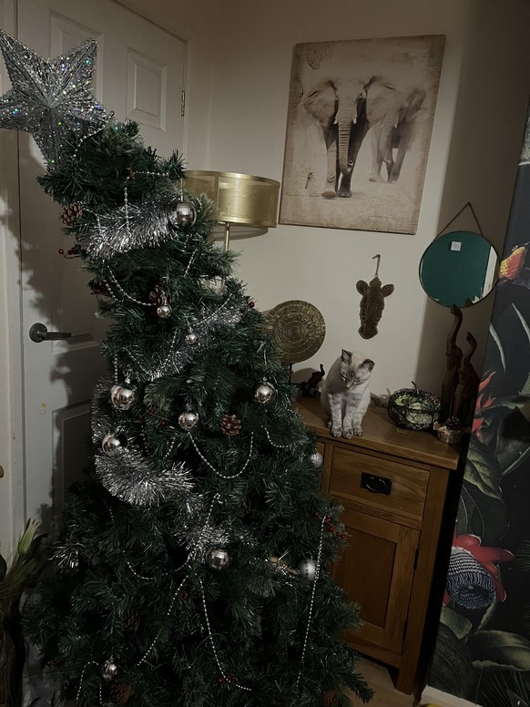 cute news tier katze weihnachten

https://www.reddit.com/r/cats/comments/1hbnmd7/someone_or_something_has_vandalised_the_christmas/