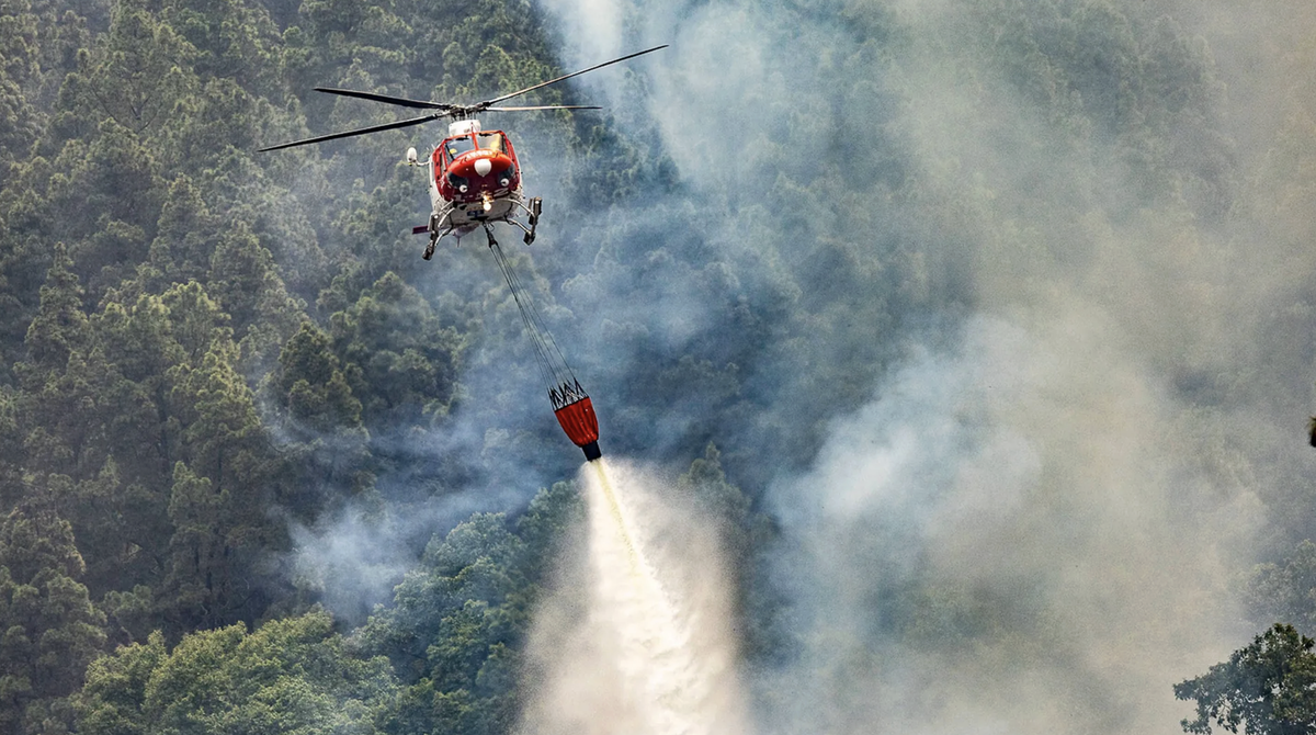 Ein Bild aus dem Jahr 2023: Auf Teneriffa wurden bei Waldbränden in diesem Jahr tausende Hektar Fläche zerstört.