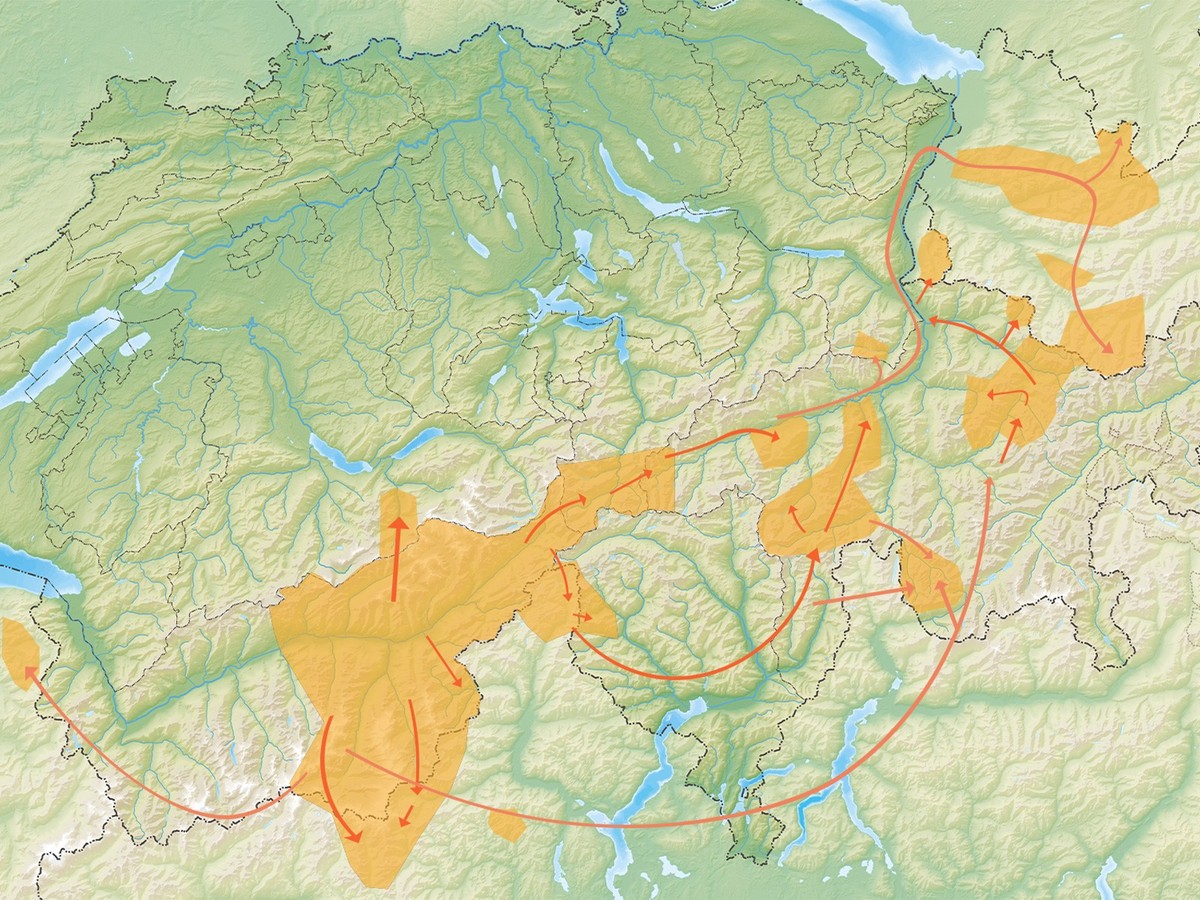 Belegte (dunkle Pfeile) und vermutete (helle Pfeile) Wanderungen der Walser im 13. und 14. Jahrhundert.
https://hls-dhs-dss.ch/de/articles/007950/2013-08-20/