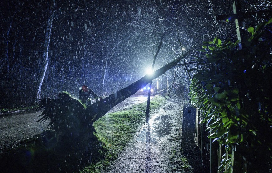 Emergency personnel from the Kiel-Russee Volunteer Fire Department, in the pouring rain, pull a tree that has been blown down by gusts of wind to the ground with a rope in Kiel, Germany, Friday, Feb.  ...