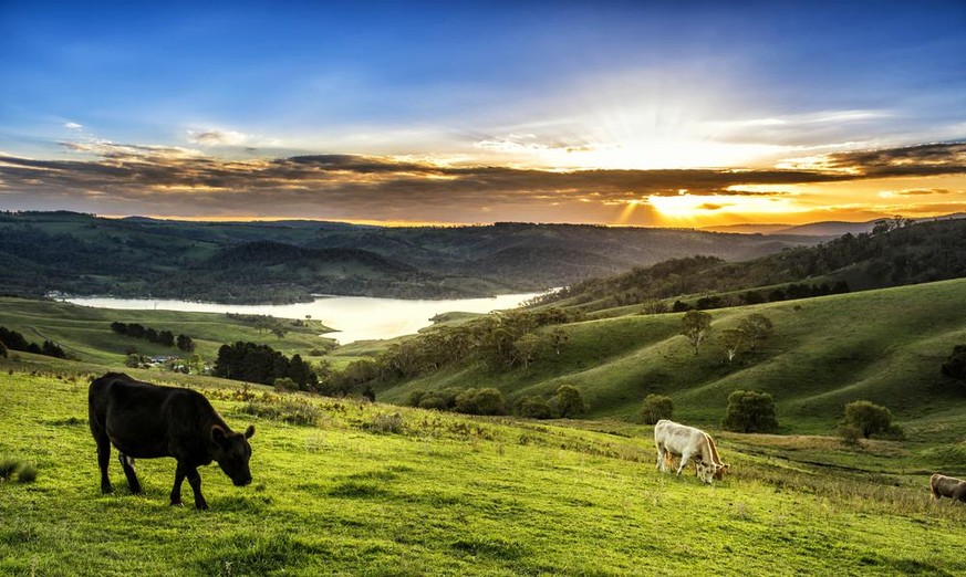 New South Wales, Australien.