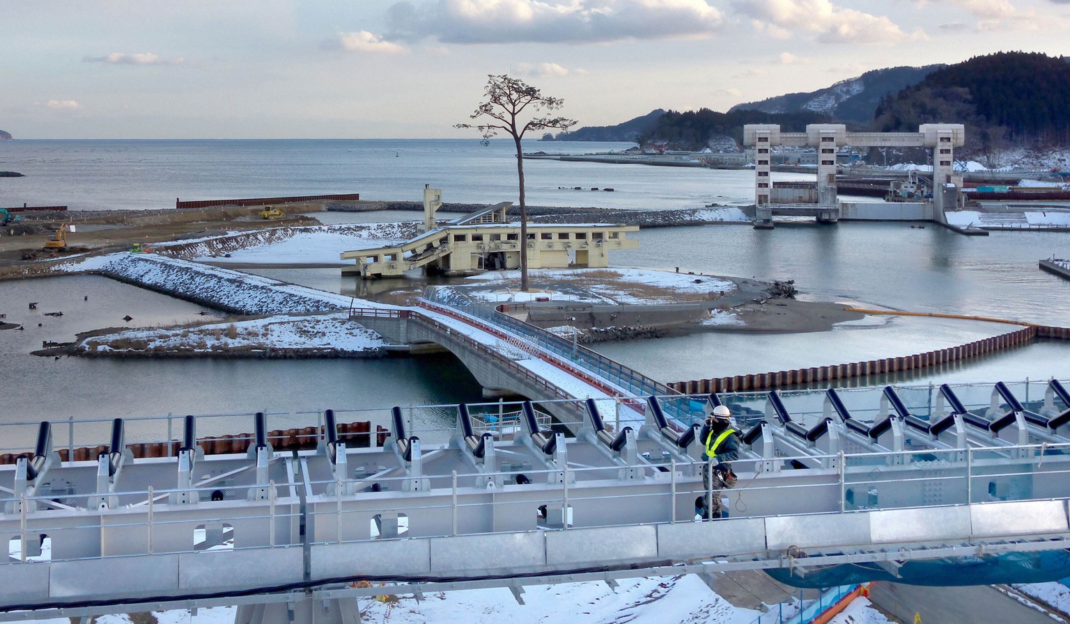 Eine Kopie des Baumes, der das Erdbeben von 2011 überstanden hat und zum Symbol der Hoffnung wurde, steht einsam in der japanischen Stadt Rikuzentakata.