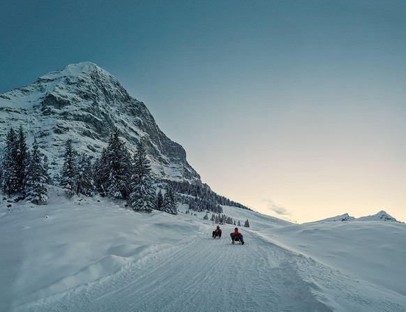 Nachtschlitteln auf dem Eiger run in Grindelwald Nachtschlitteln Rauszeit die besten Schlittelpisten der Schweiz