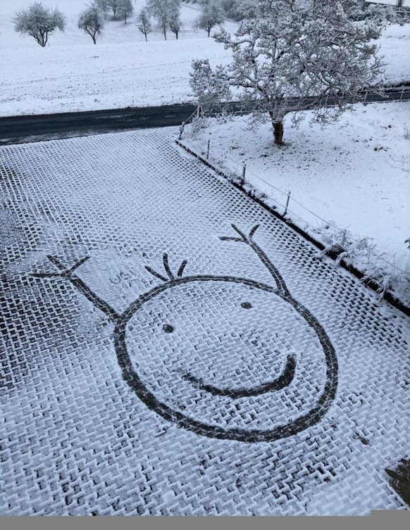 PICDUMP 393 – folgt einfach dem Nacktmull!\nYeayyh.
Schneeschufle.