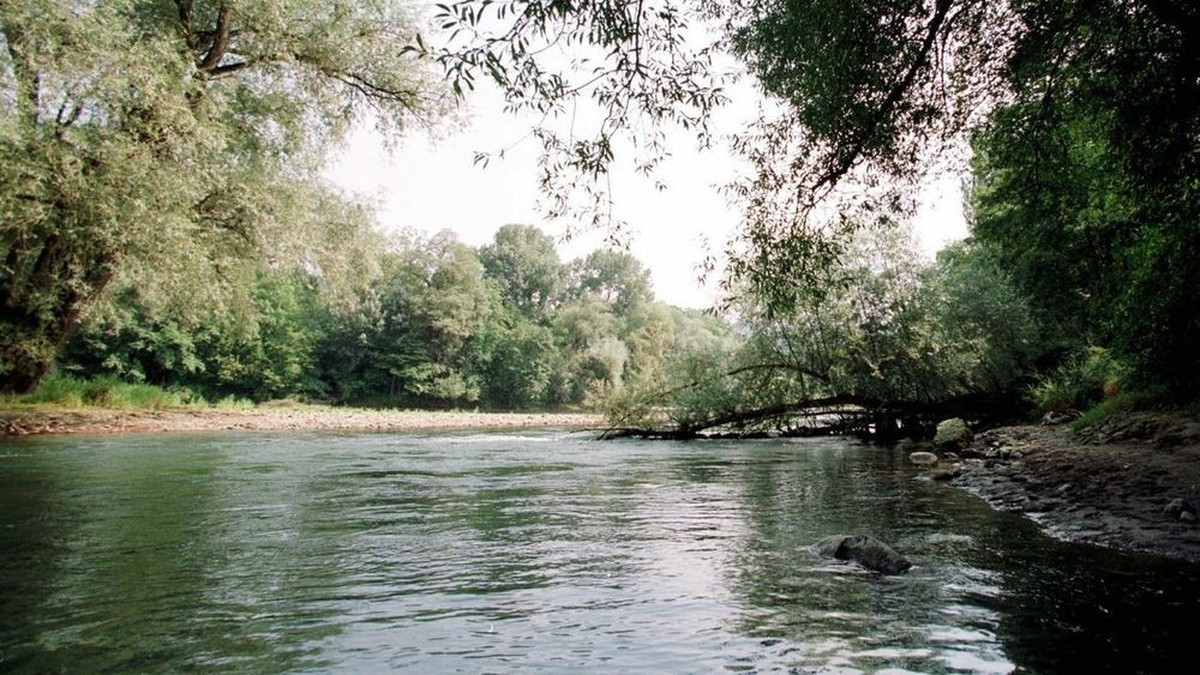 Z-rcher-Polizei-sucht-mit-Helikopter-nach-Person-in-der-Limmat