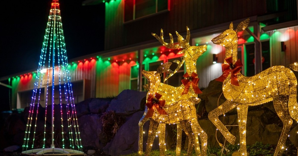 Weihnachtsbeleuchtung-im-Garten-ja-oder-nein-Was-h-ltst-du-davon-