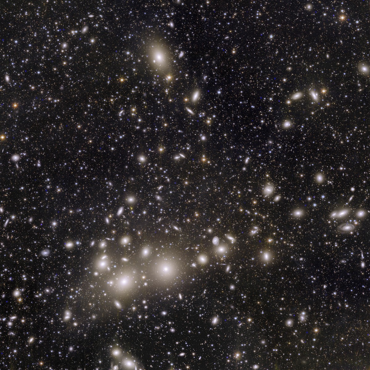 This image provided by the European Space Agency shows Euclid?s view of 1000 galaxies belonging to the Perseus Cluster. The European Space Agency released Euclid?s first photos Tuesday, Nov. 7, 2023 f ...