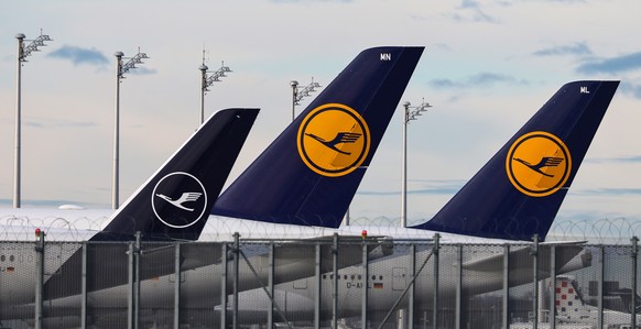 epa12729812 Airplanes of the Lufthansa carrier are parked on the tarmac during a strike at the international airport in Munich, Germany, 12 February 2026. Pilots and cabin crew are striking at Lufthan ...