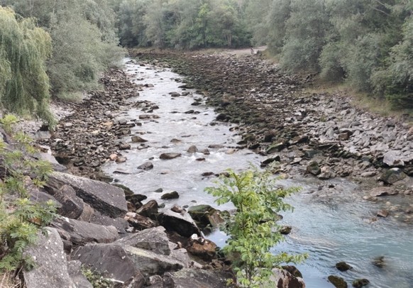 Fische tot Albula Sils Graubünden