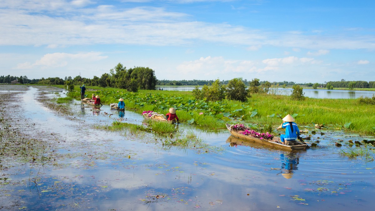 Bauern im Mekong-Delta in Vietnam: China kontrolliert den Oberlauf des Stroms und hat somit ein Druckmittel auf seinen Nachbarn.
