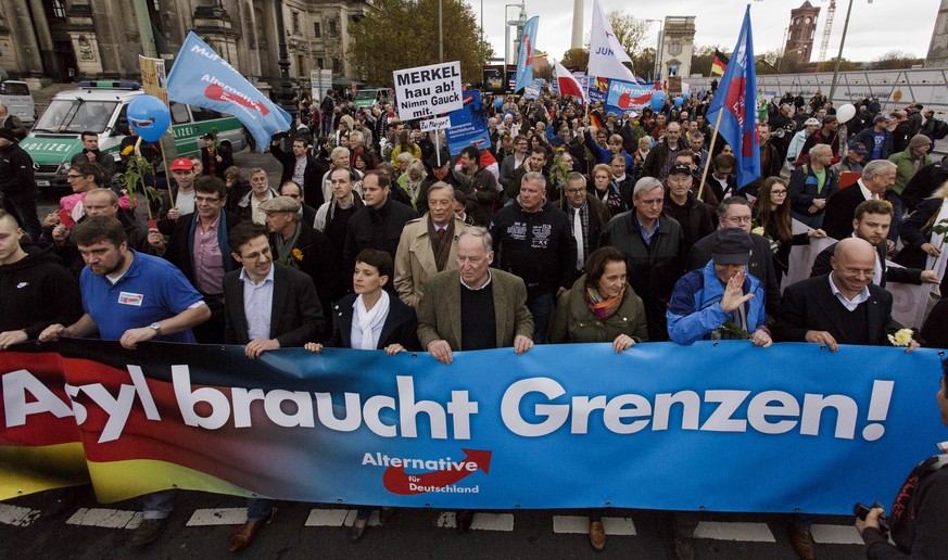 «Asyl braucht Grenzen»: Unter diesem Motto gingen am Samstag in Berlin 5000 Anhänger der immigrations-kritischen AfD auf die Strasse.