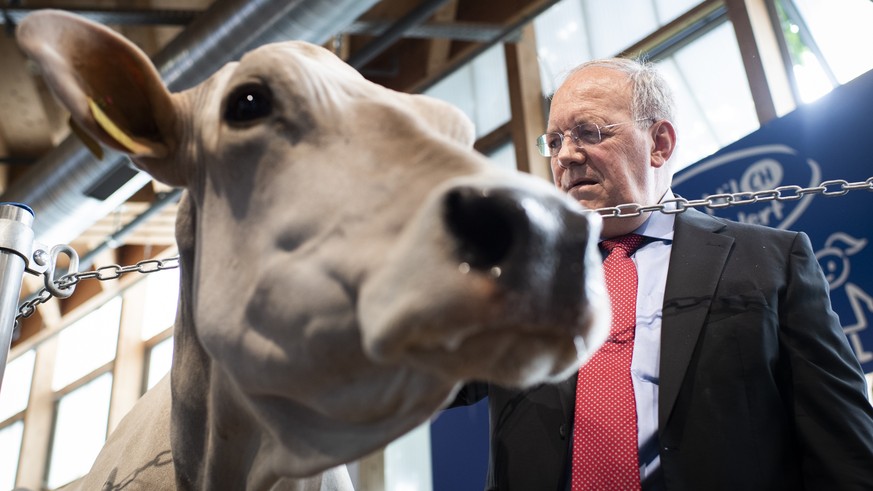 Bundesrat Johann Schneider-Ammann posiert mit einer Kuh, an der Eroeffnung der 76. OLMA Schweizer Messe fuer Landwirtschaft und Ernaehrung, am Donnerstag, 11. Oktober 2018, in St. Gallen. (KEYSTONE/Gi ...