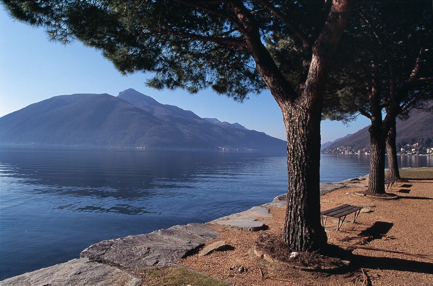 Southward view of the World Heritage Site Monte San Giorgio mountain (1079 m above sea level), left, from the promenade in Melide in the canton of Ticino, Switzerland, pictured on March 18, 2004. No o ...