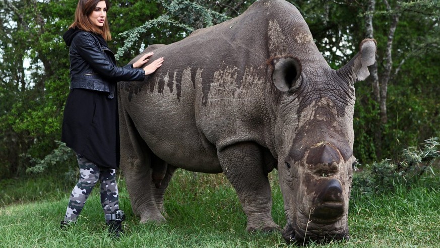 epa04764211 US model and Bollywood actress Nargis Fakhri (L) poses next to Sudan, the last male northern white rhino in the world, upon her visit to Ol Pejeta Conservancy in Nanyuki, Kenya, 23 May 201 ...