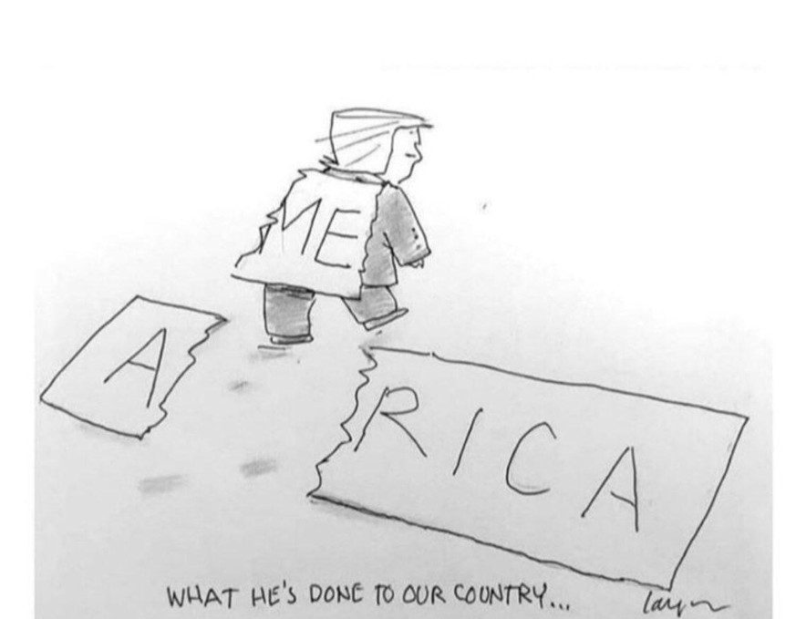 Die besten Karikaturen, die 4 Jahre Trump-Chaos treffend beschreiben