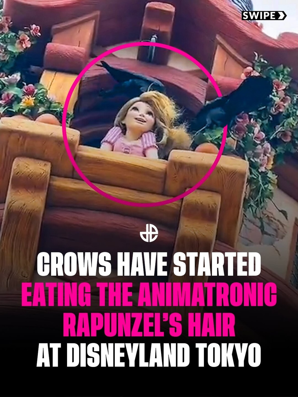 Die lustigsten Fails der Woche: Rapunzel