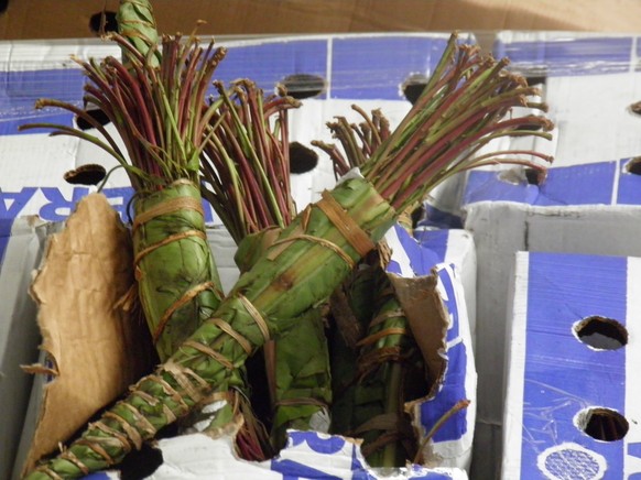 A picture released by the French customs on June 10, 2014 and taken in May 29, in Calais, northern France, shows a part of the 4,3 tonnes of khat seized by the French customs at the ferry terminal. Th ...