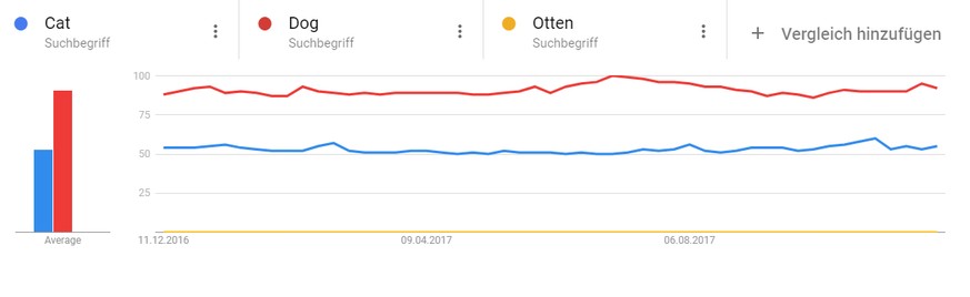 Zweitbeliebteste? Das Verdikt ist klar: Katzen werden weniger gegoogelt als Hunde. Was aber selbstverständlich auch heissen kann, dass man sie nicht mag. Es heisst ja nicht umsonst: «Kenne deinen Fein ...