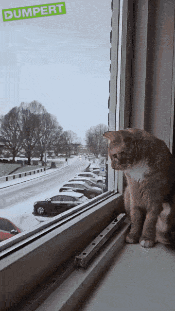 Animiertes GIF