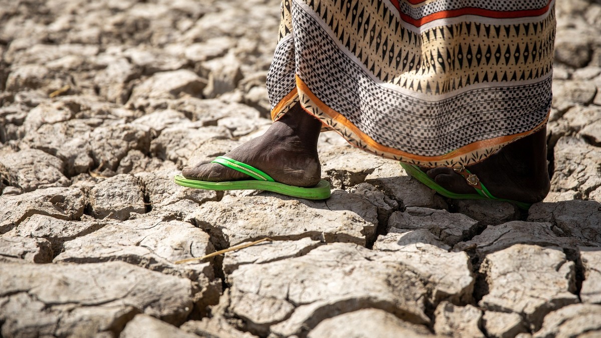 Fehde um Wasserstelle im Tschad fordert 42 Tote
