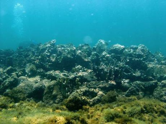 Vermutlich das Wrack der «Santa Maria»:&nbsp;Überreste eines Schiffs vor der Nordküste Haitis.&nbsp;