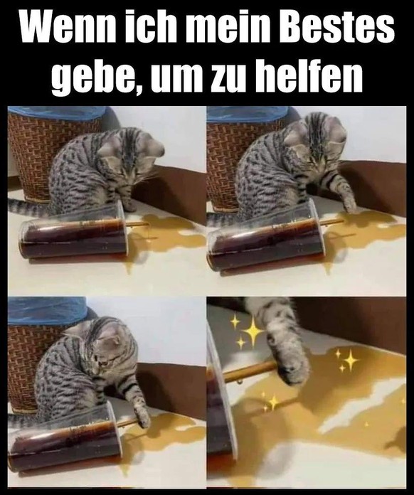 PICDUMP 400! ðŸ˜±\n(ï¸ºï¸¹ï¸º)