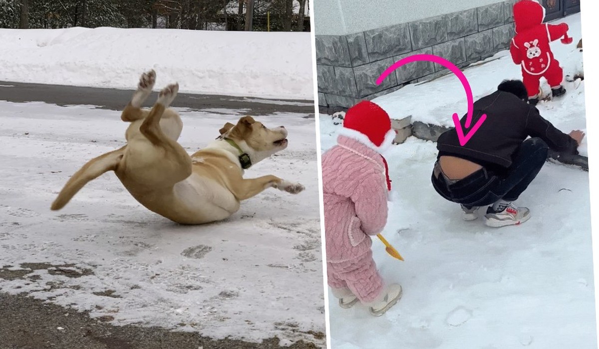 21 images et GIF amusants pour lutter contre le cafard hivernal