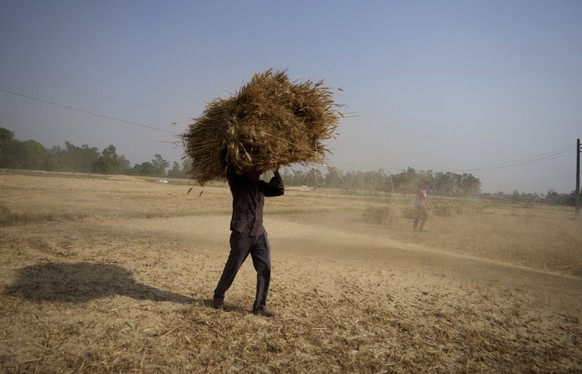 FILE- An Indian farmer carries wheat crop harvested from a field on the outskirts of Jammu, India, April 28, 2022. India on Sunday said it has kept a window open for food-deficit countries to import w ...