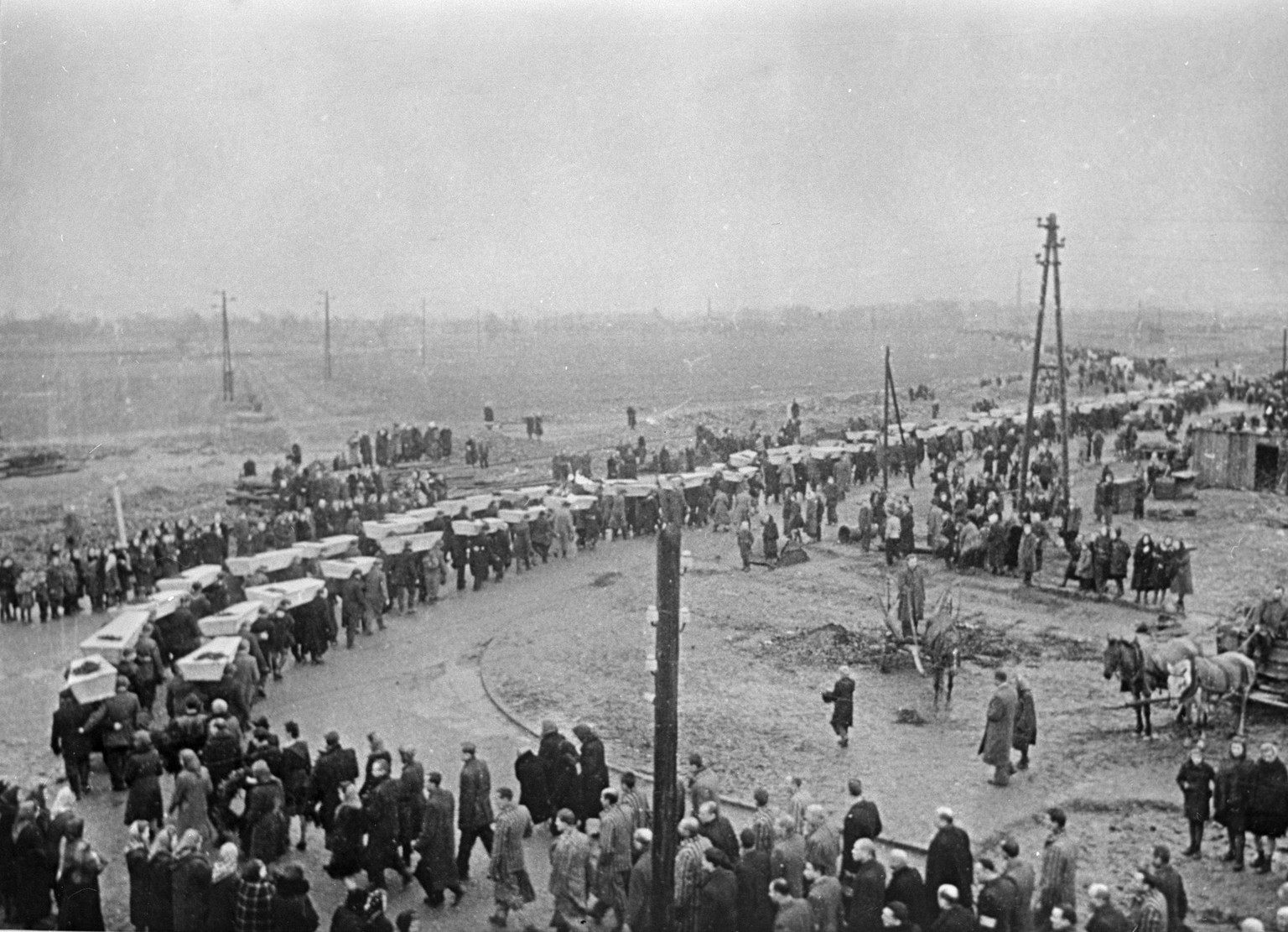 Auschwitz concentration camp 8660439 28.02.1945 Great Patriotic War, 1941-1945. Liberation of the Nazi concentration camp Auschwitz Auschwitz by troops of the 1st Ukrainian Front in cooperation with t ...