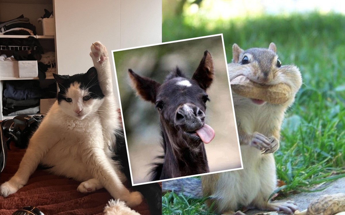 On vous assure que le reste est VRAIMENT mignon.
