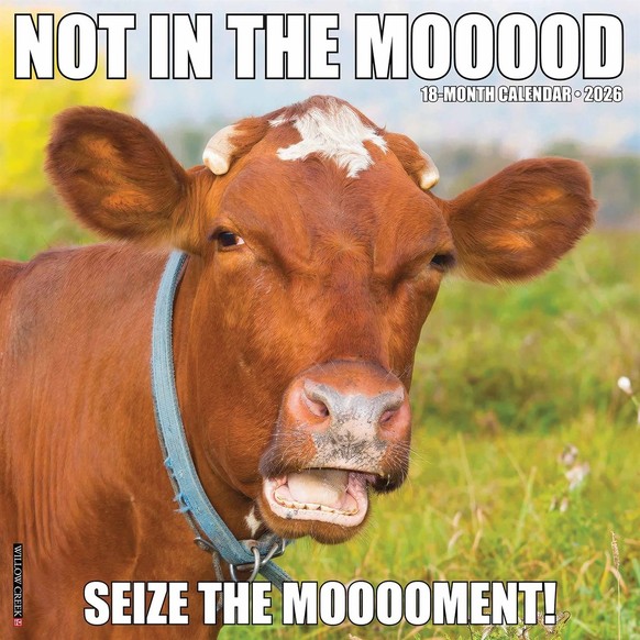 Not in the Mooood Calendar 2026 
https://www.calendarclub.co.uk/Images/Product/Default/xlarge/329055-not-in-the-mooood-calendar-main.jpg