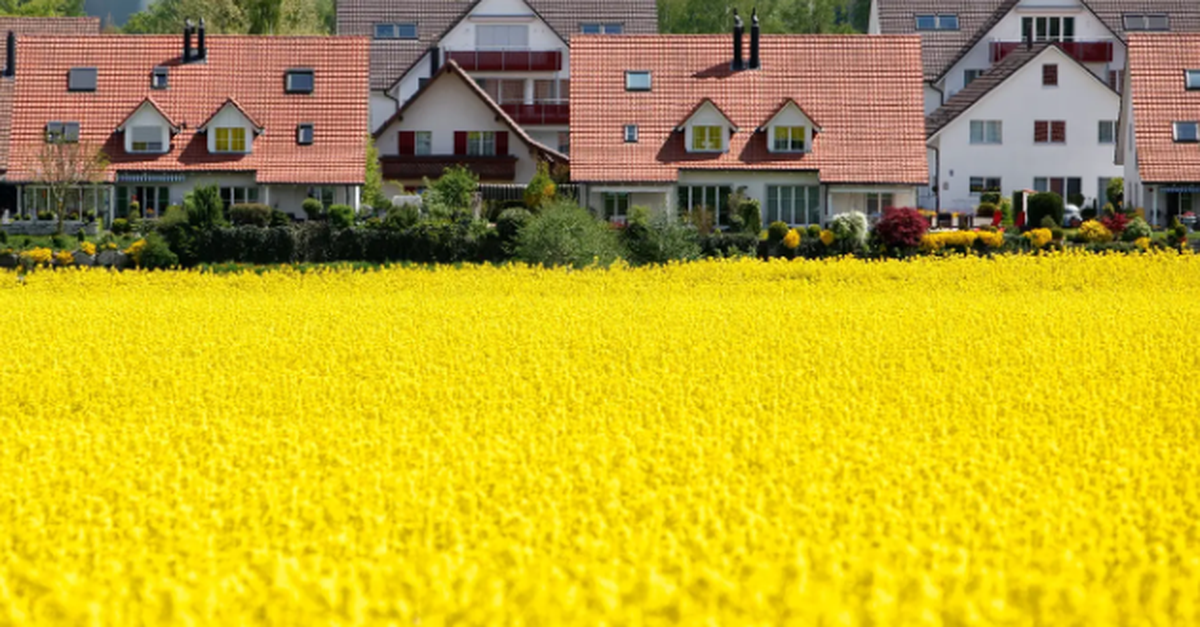 eigenmietwert-abschaffung-macht-wohneigentum-attraktiver-aber-nicht-berall
