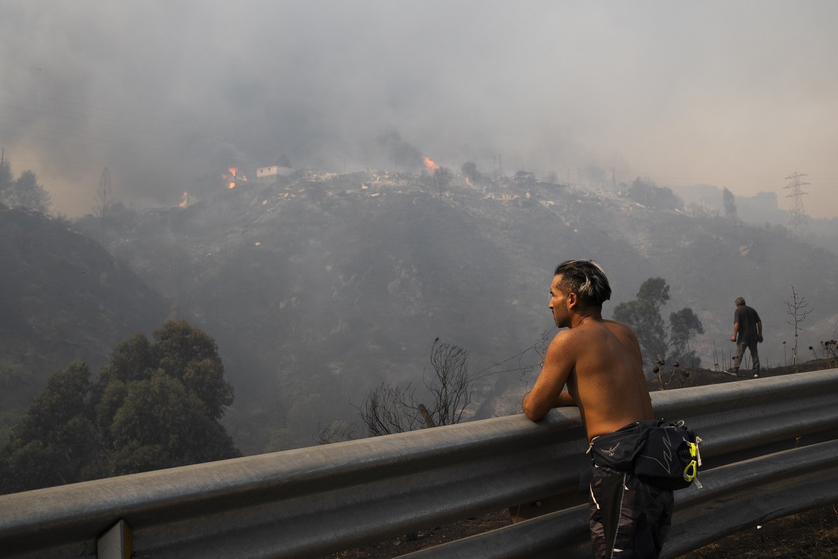 epa11124884 People observe the forest fires affecting the Beagle Channel area, Vina del Mar, Valparaiso Region, Chile, 03 February 2024. The fires in the central region of Valparaíso have caused at le ...