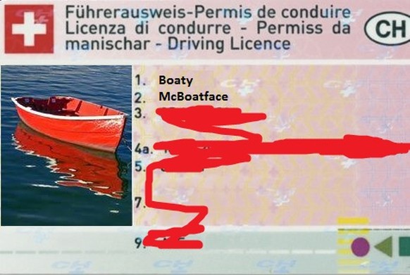 Erkennst du den Redaktor?聽Hier kommen unsere peinlichsten* F眉hrerschein-Fotos