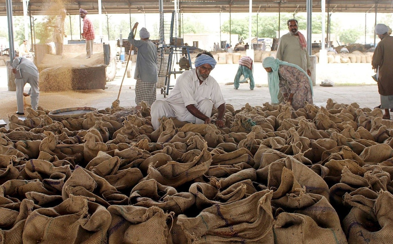 Indische Arbeiter sind in Amritsar, Junjab damit beschäftigt, Säcke mit der Weizenernte nach dem Reinigungsprozess zu versiegeln, aufgenommen am 09. Mai 2005.