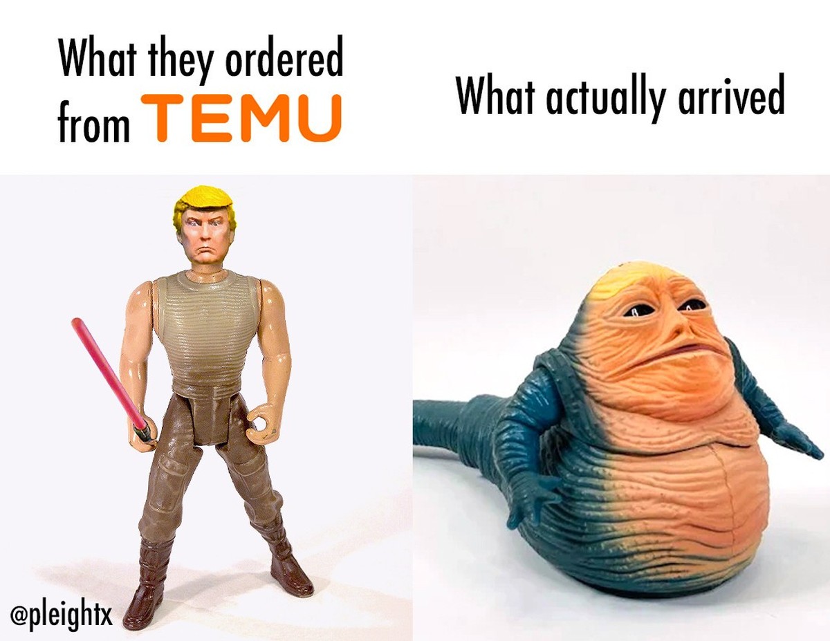 Trump Meme