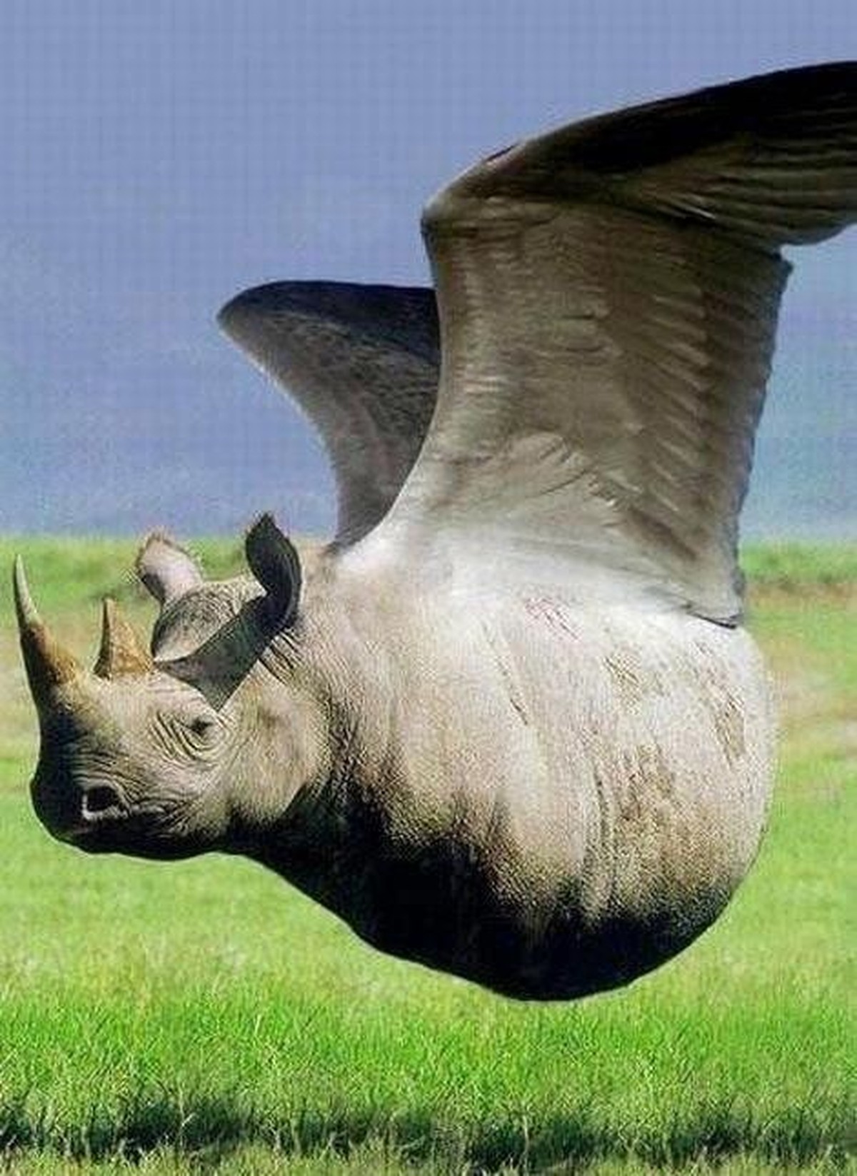 cute news photoshop

https://ch.pinterest.com/pin/91831279893867541/