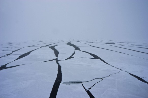 USA Sea ice forming in the Bering Sea, Alaska, USA, in March 2008. Taken on location for the BBC series, Frozen Planet. PUBLICATIONxINxGERxSUIxAUTxONLY 1356904 JeffxWilson