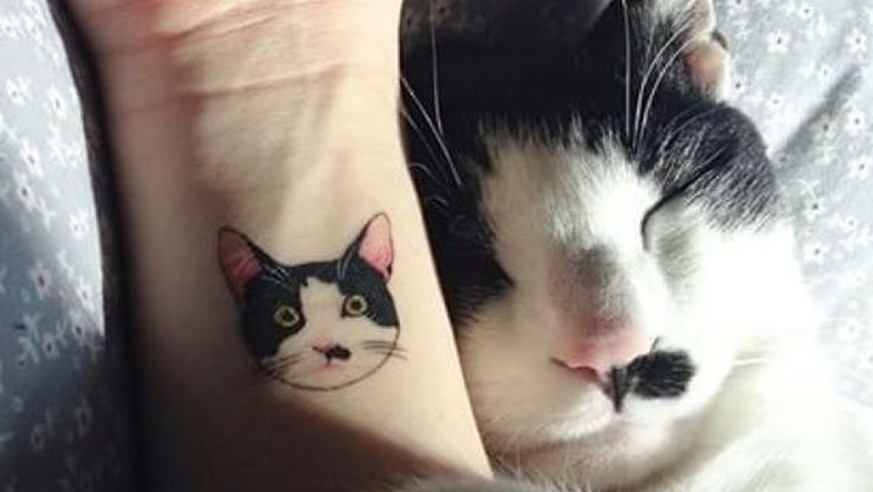 22 wundervolle Katzentattoos, nicht nur für Katzenliebhaber