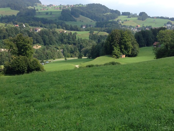 Hier lernte ich Skifahren, auf der Wiese rechts spurten wir die eigenen Langlaufloipe und beim Weg in der Mitte schlittelten wir ohne Ende.