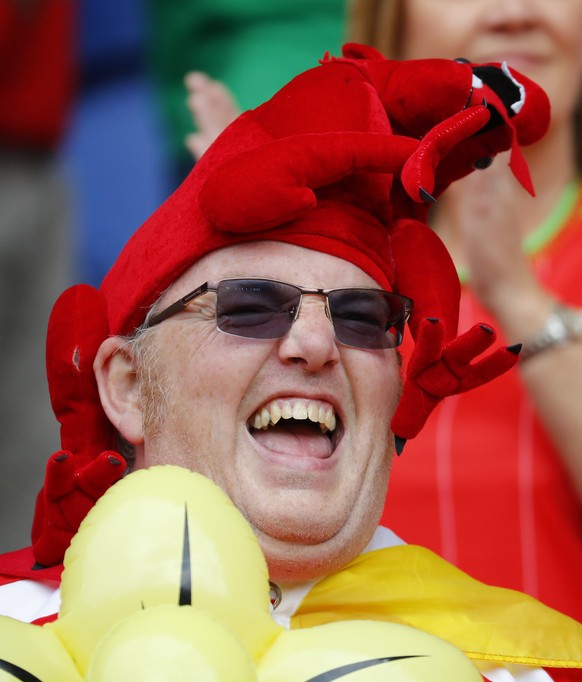 Football Soccer - Wales v Northern Ireland - EURO 2016 - Round of 16 - Parc des Princes, Paris, France - 25/6/16
A Wales fan before the match
REUTERS/Stephane Mahe
Livepic