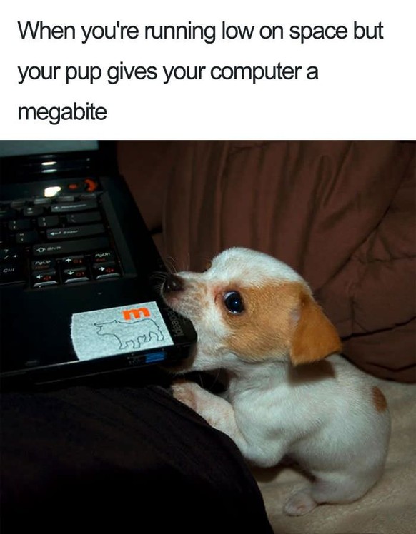 Megabite Hund
Cute News
https://imgur.com/gallery/BbmZG