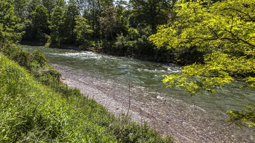 Gewässerperlen Schweiz wilde naturnahe Schweizer Flüsse unberührt Flusswanderungen Rauszeit Töss