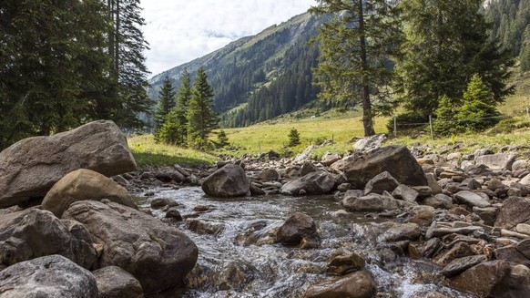 Gewässerperlen Schweiz WWF Rauszeit Grosse Entlen Entlebuch Glaubenbergpass