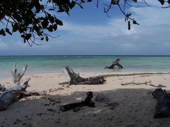 Sur les Îles Marshall, les plages sauvages abondent.