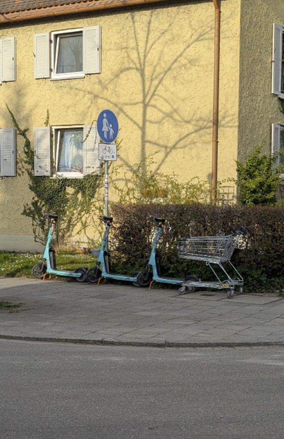 Gittertiere auf Reddit: Lustige Einkaufswagen/Einkaufswägelchen