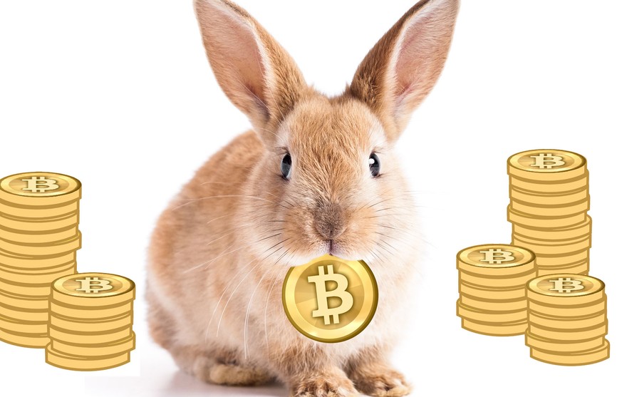 Die Cryptocoins vermehren sich wie die Karnickel
