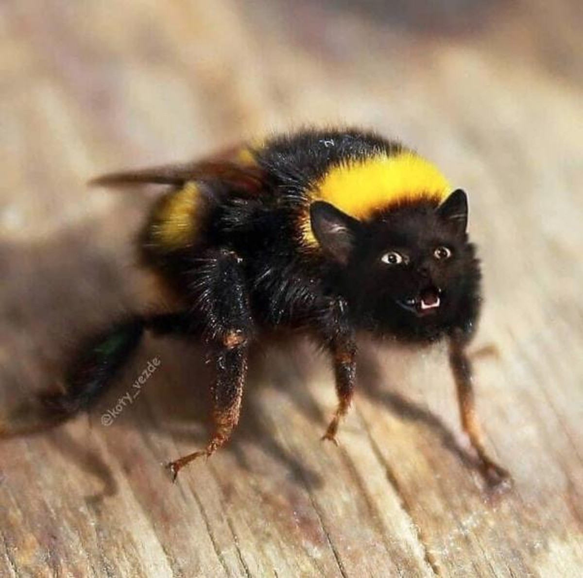 Photoshop-Tiere