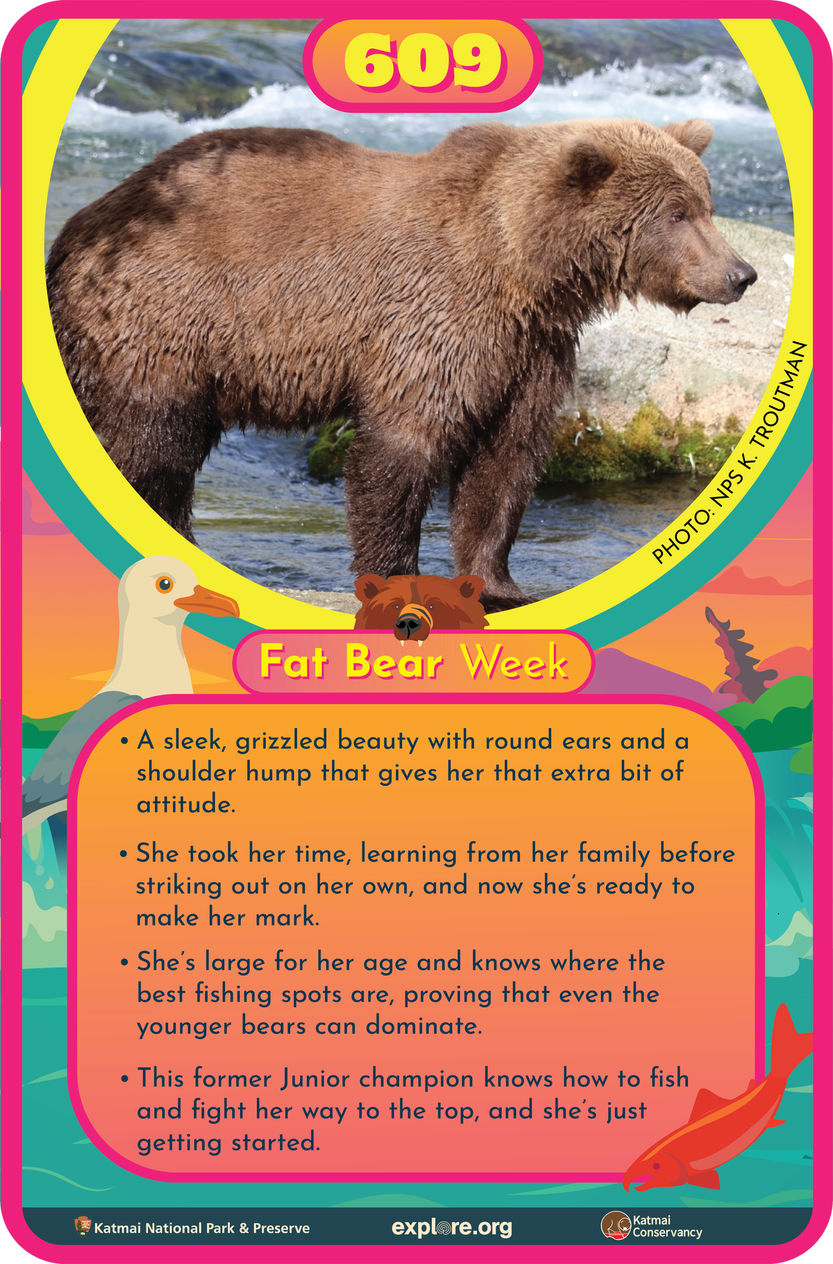 Bär 609 Fact Card